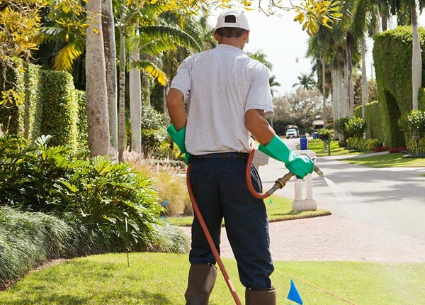 About Summit SD Pest Control